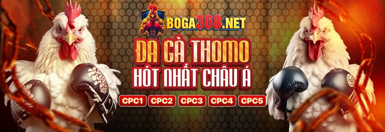Ưu đãi độc quyền 6623a